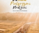 Piesza Pielgrzymka na Jasną Górę